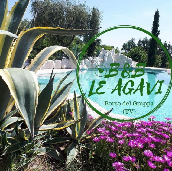 B&B Le Agavi บอร์โซ เดล กราปปา ภายนอก รูปภาพ